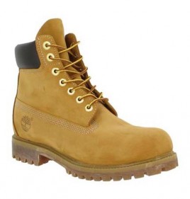 TIMBERLAND 10068 velours Homme Ocre